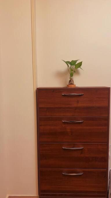 Cosy 2-bdr In New Holiday home Cairo